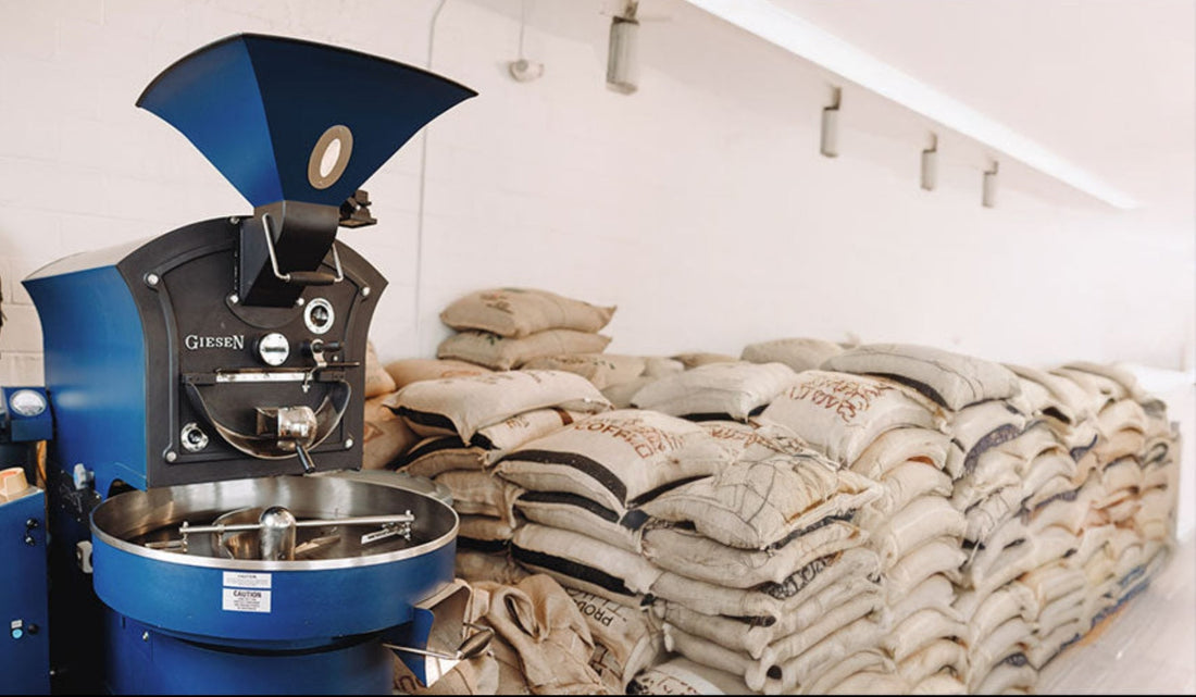 The art of Small Batch Coffee: Where craft Meets Flavor