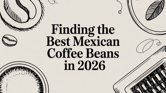 Finding the Best Mexican Coffee Beans in 2026