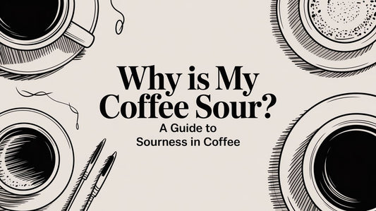 Why Is My Coffee Sour? A Guide to Sourness in Coffee