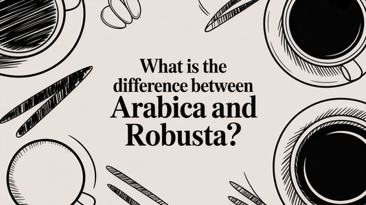What is the Difference Between Arabica and Robusta?